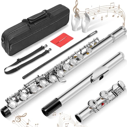 Kit Flauta Transversal Prateada Dó, 16 Furos C Flauta Chave Fechada, Instrumento de 16 Teclas para Iniciantes