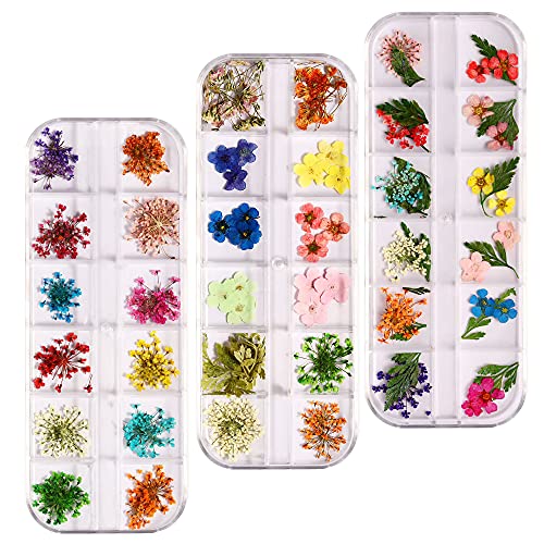 72 Stück Nagel Getrocknete Blume, Maniküre Nail Art Dekoration, Nail Art Trockenblumenset, 3 Schachteln Für Ein Produkt, Für Nail Art, Diy Kreative Geschenke, Diy Kreative Gemälde, Probensammlung Cover