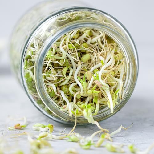 Image of sprout-me Multi Use Sprouts Maker Box With Recipe Book - Glass Mason Jar with Mesh Lid for All Seeds & Beans, Sprouts Making Box with Built in Drainage Stand (One Sprout Jar With Book - (Green))