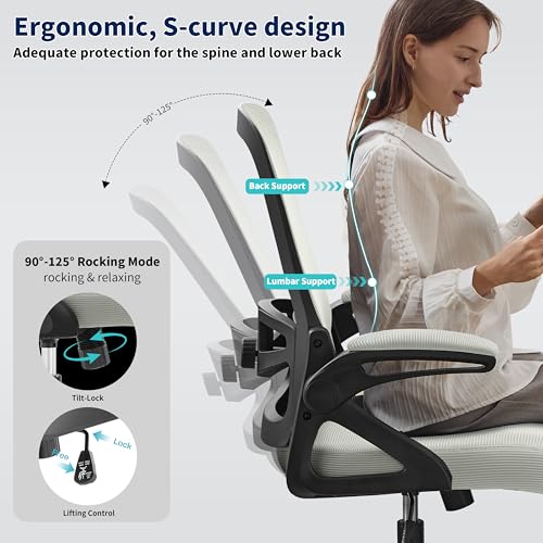 Image of Ergonomic Office Chair, Desk Chair with Adjustable Lumbar Support, Breathable Mesh Comfy Computer Chairs with Flip-up Armrests Executive Task Chair for Adults Home Office (Dark Gray)
