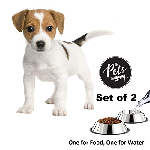 Image of The Pets Company Stainless Steel Dog Feeding Bowl, Small Dogs (Set of 2)