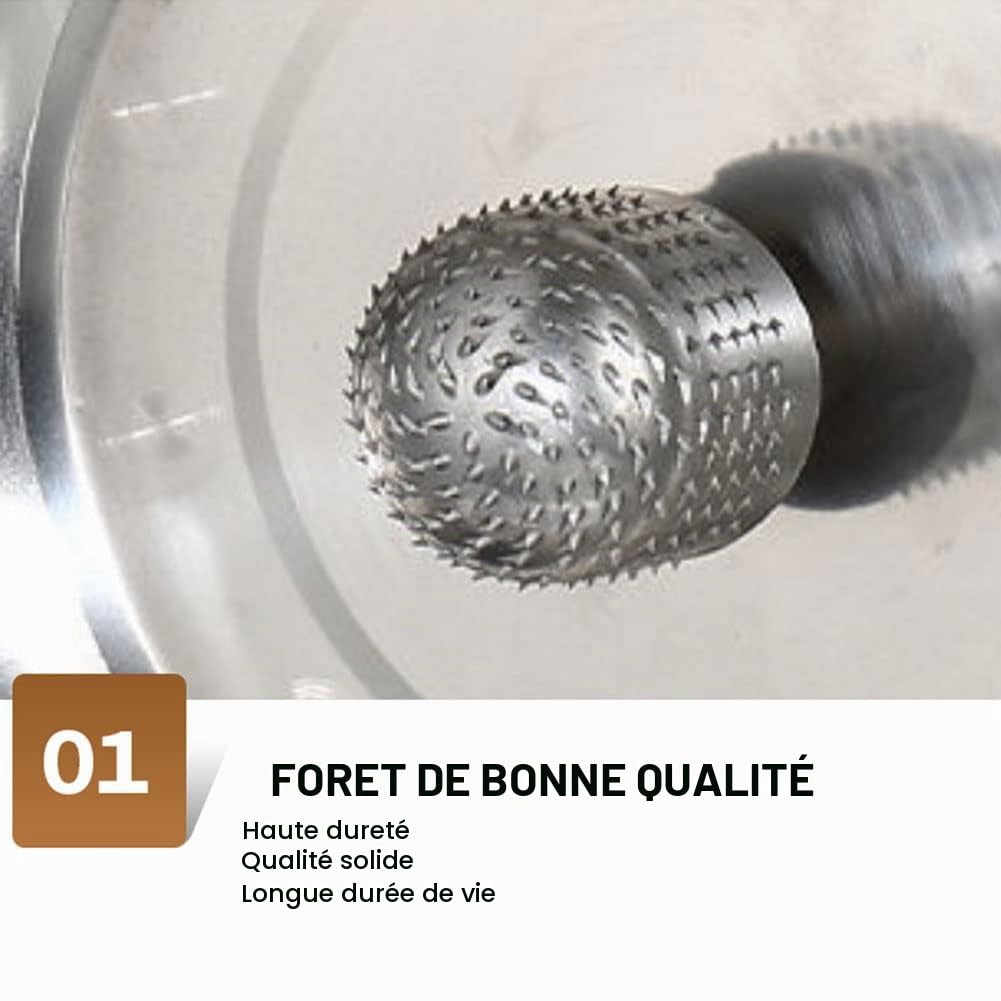 Déchiqueteur de grattoir à noix de coco, râpe à noix de coco commerciale électrique 300W 50-60pcs / heure, rabot à noix de coco pour magasin de transformation de noix de coco, restaurant, boulangerie