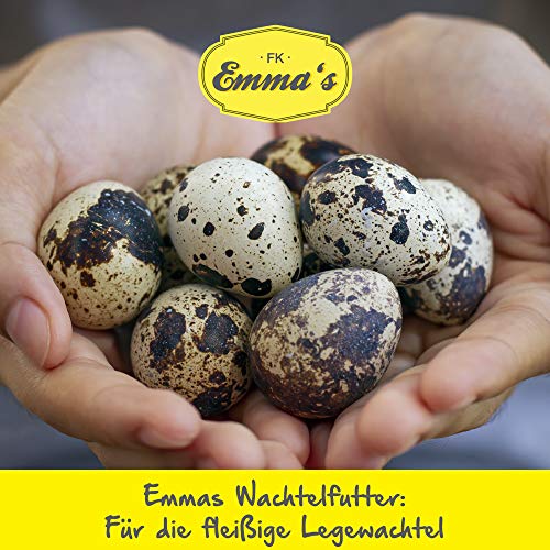 Emmas Wachtelvoer 20 kg - kwarteldroom extra | basisvoer korrelmengsel voor legwiebelen | zonder gentechnologie… - Image 7