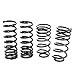 BBK 2501 Lowering Springs Kit - Performance Progressive Rate Kit for Ford Mustang V8