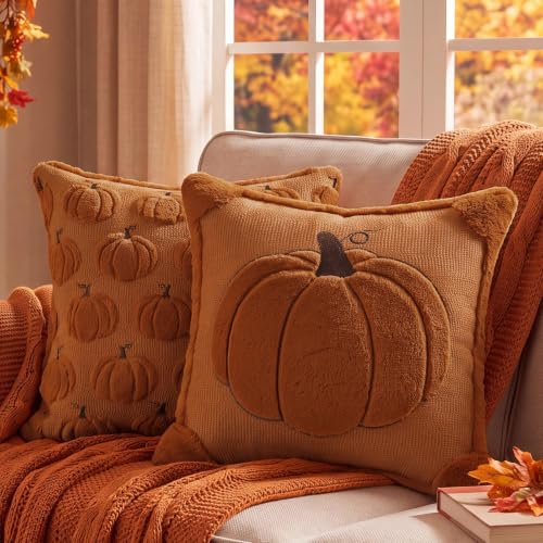 Fall Pillow Covers 20x20 Set of 2 Reversible Burnt Orange Pumpkin Plush