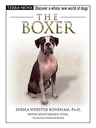 The Boxer book cover