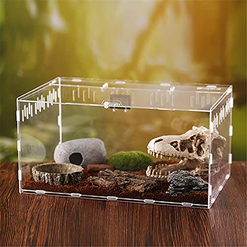 Foxglove Reptiel Voeden Doos Fokken Doos Transparant Glas Fokken Doos Terrarium Terrarium Feeder Slangen Spin Hagedis… - Afbeelding 7
