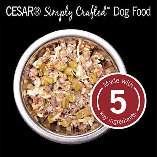 CESAR SIMPLY CRAFTED Adult Soft Wet Dog Food Meal Topper Beef, Chicken, Purple Potatoes, Green Beans & Red Rice, 1.3 oz… - Image 8