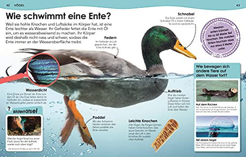 Weshalb? Deshalb! Tiere: Das Frage- und