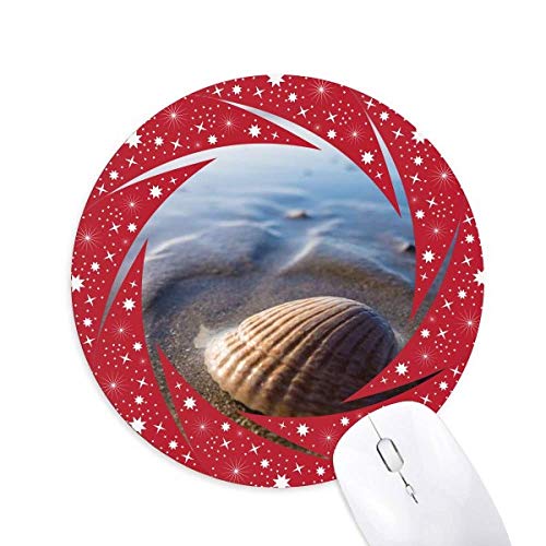 CmVFȊw͎R̎ʐ^ ~`S̐Ԃ̃zC[pbh