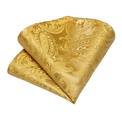 Image of DiBanGu Silk Ties for Men Necktie and Lapel Pin Brooch Set Formal Woven Paisley Plaid Striped Solid Tie Wedding Party