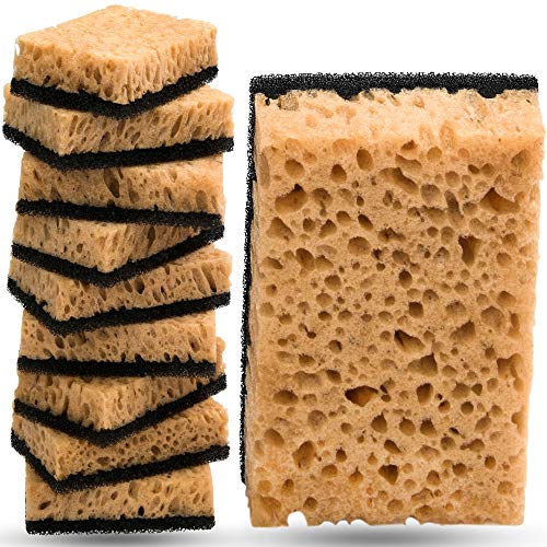 Almitra Co Kitchen Sponge in Vacuum Set MultiUse [10 Pack] NonScratch