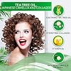 BELLISSO Tea Tree Oil Shampoo, Conditioner Set, and Serum - Sulfate Free, Hydrating, Soothing for Itchy Scalp, Dry Hair, Dandruff, All Hair Types, Fight Damage, Color Treated - 3 Count