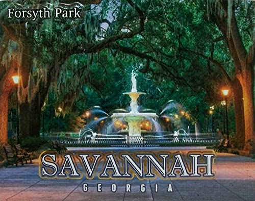 Savannah Georgia Forsyth Park Fridge Magnet