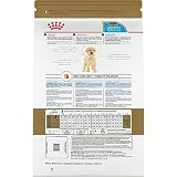 ROYAL CANIN Breed Health Nutrition Labrador Retriever Puppy Dry Dog Food, 30-Pound by Royal Canin
