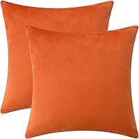 Vista 14 de Juego de 2 fundas de almohada de terciopelo para sofá y cama, 18 x 18 pulgadas, color aguamarina