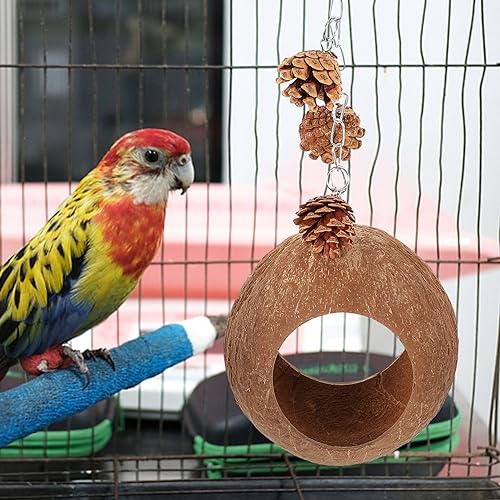 Fourniture pour oiseaux : nid suspendu en noix de coco durable