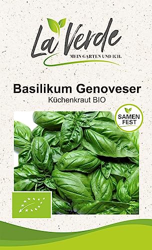 Basilikum Genoveser BIO Kräutersamen