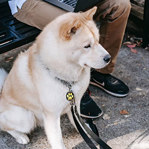 Médaille d'identification personnalisée à code QR pour animal de compagnie chien chat scanner - 6