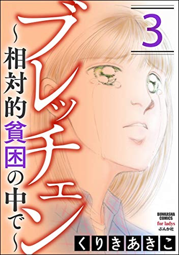 ブレッチェン～相対的貧困の中で～ （3） (ストーリーな女たち)