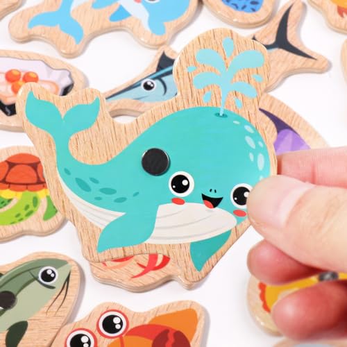 MONTESSORI Brinquedo de Madeira, Pesca Magnética para Crianças e Bebês, Educativo, Interativo, Senso