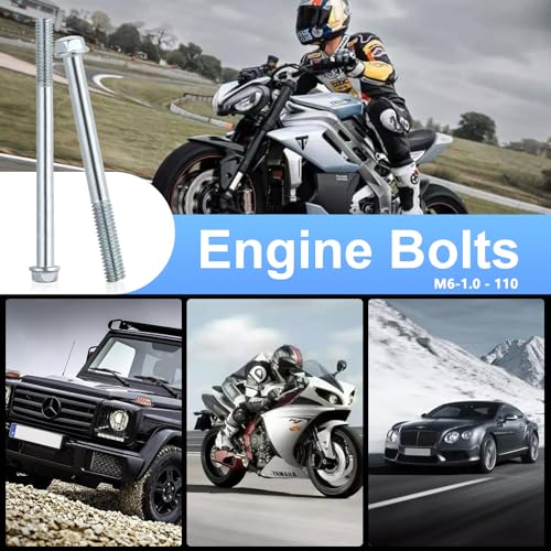 Image of Minho Motorcycle High Strength Grade 8.8 Metric Flanged Hex Bolts M6-1.0 - 110
