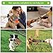 wangstar Squeaky Dog Toy for Puppy Dogs Toys to Keep Them Busy Mallard Duck Stuffed Dog Toys for Medium Small Dogs, 9