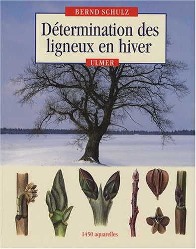 Télécharger Détermination des ligneux en hiver Gratuit