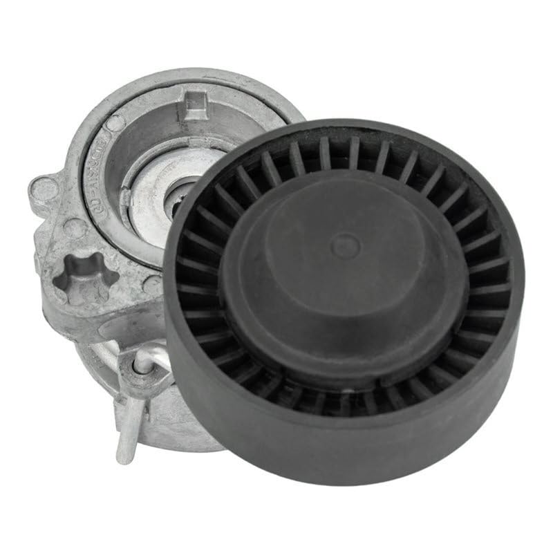 Kit tendeur de courroie BMW E46 E39 E60 X5 E53 11281748832