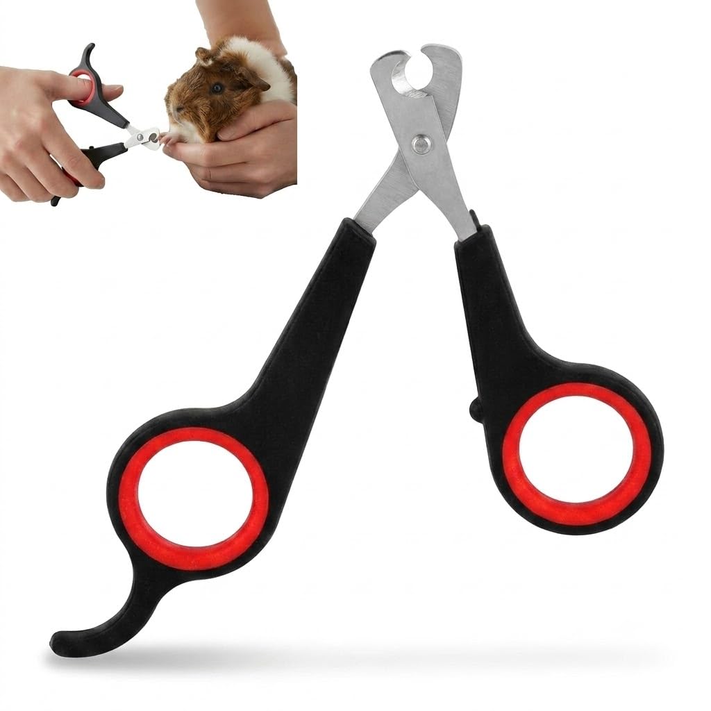 Baxnore Nail Clippers for Small Animals, Guinea Pig, Puppy, Kitten, Rabbit, Bird – Stainless Steel Precision Trimmer with Ergonomic Handle