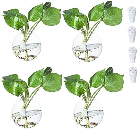 4 Pcs 7.5" Wall Hanging Planters Glass Terrariums - Round Plants Holders Air Plants Succulents Planters Flowers Glass Wall Vase Containers for Decor Indoor Garden