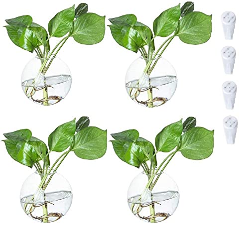 maceta pared Marca Bigsee