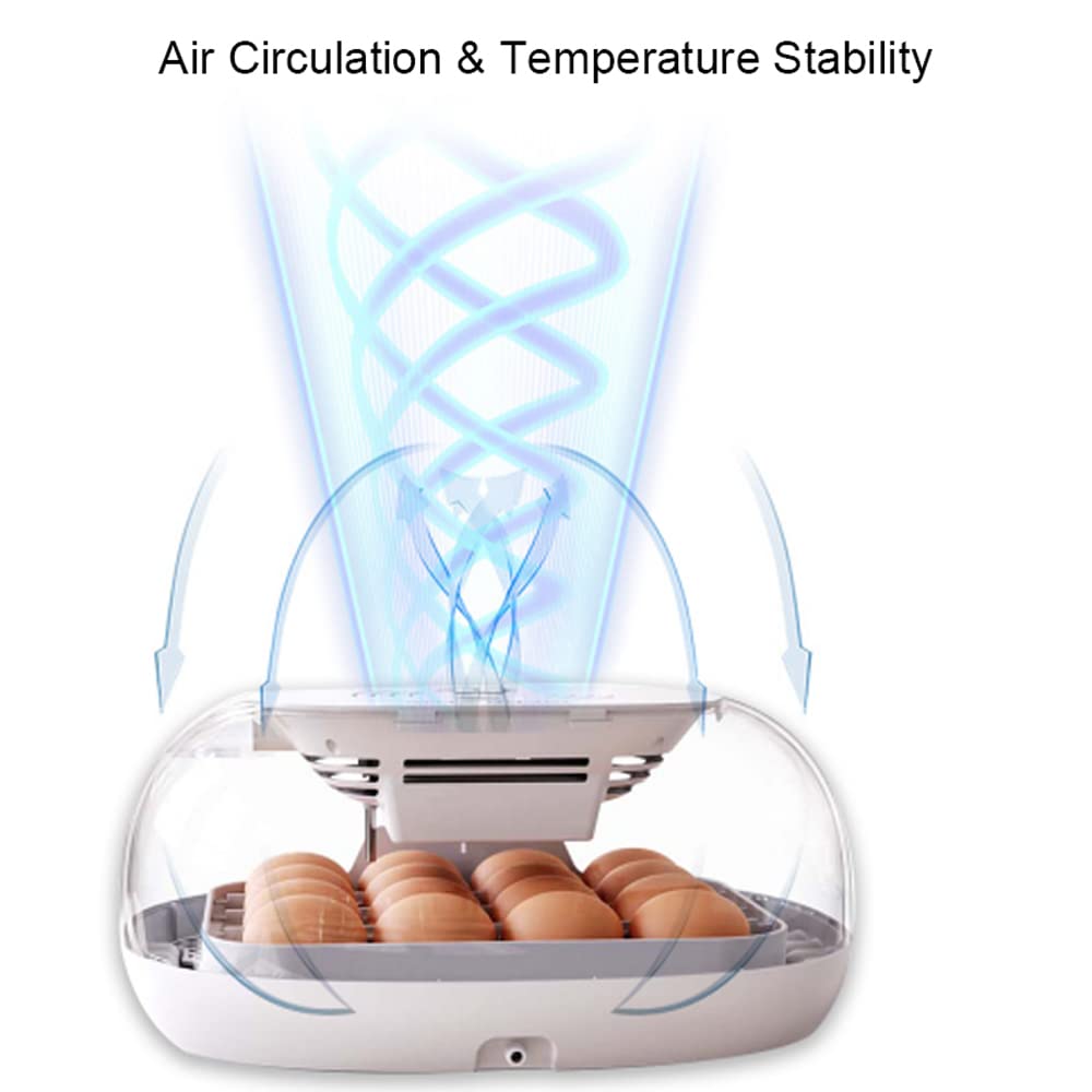 Ei-Inkubator zum Schlüpfen mit automatischer Eierdrehung, LED-Ei-Testlampe, klarer Deckel, leicht zu waschen, 16 Eier, Geflügelbrüter, Bauernhof, Vogel, Wachtel, Huhn, Geflügelfarm, Brüter, W