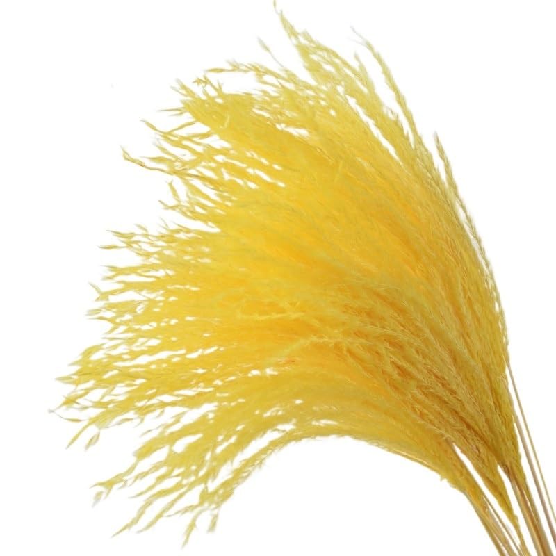 Sztuczna trawa Pampas, 10 szt. Wielokolorowa suszona trawa pampasowa Sztuczna świąteczna dekoracja ślubna do domu(B Yellow)