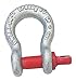 Anchor Shackle,Carbon Steel,2000 lb.