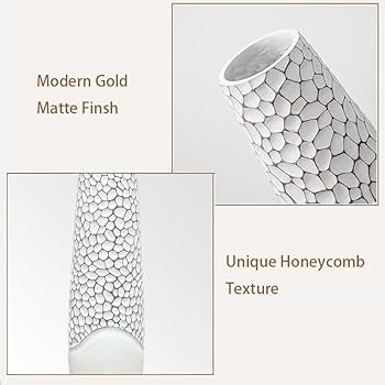 ののん　24cm 楽天市場】【送料無料】[高品質]ライブディオZX/DioZX後期型