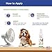 PET YOUR PET Dog Refresh Cooling Spray for Dogs 4oz, Non-Toxic Refreshing Mist, Made in USA, Helps Cool Down in Hot Weather, After Walks or Playtime, Great for Daily Use