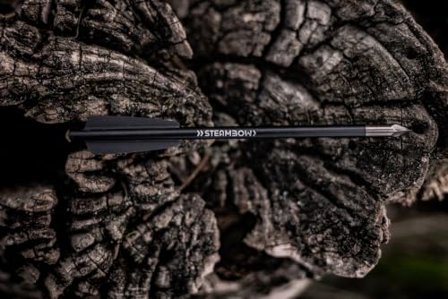 Steambow Elegant All-Black Aluminum Bodkin Arrows with Hardened Steel Tips, Set of 6 | Maximum Penetration Logo Engraved Shafts Paired with Steel Tips | AR-Series | 0000401 by Steambow - Used condition - Image 6