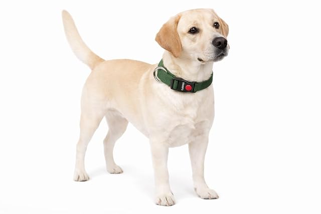 Flamingo Perro Collar Ziggi Caqui L 45-65cm 25mm