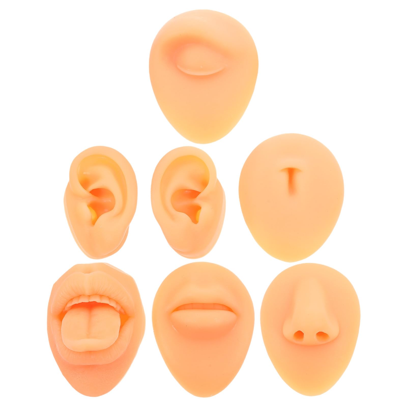 Faccia Flessibile Bocca Naso Facile da Pulire e Lingua Realistico in Silicone per Pratica Piercing Inclusi Orecchie per Centri di Formazione e Uso Personale