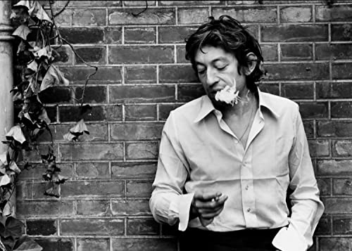 Poster de Serge Gainsbourg …42x59,4 cm. Format A2.