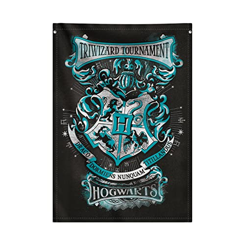 Gu00e9nu00e9rique Harry Potter - Patronus - 61x91,5cm - AFFICHE/POSTER