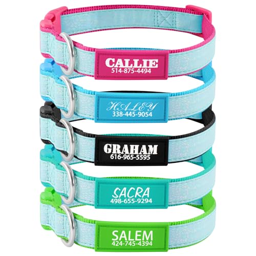 Personalized Dog Collars for Small & Large Dogs with Custom Name and Phone Numbers, Glow in The Dark Adjustable Glowing Luminous Collar(Fluorescent Glow) — view 2