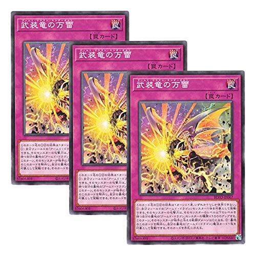�y 3���Z�b�g �z�V�Y�� ���{��� BLVO-JP067 Armed Dragon Thunderbolt �������̖��� (�m�[�}��)