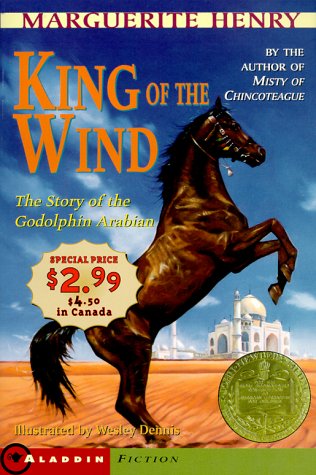 King of the Wind (Aladdin Fiction)