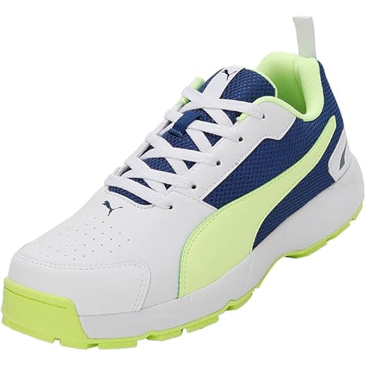 Puma Men Cricket HighRun Cricket Shoe