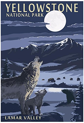 Lamar Valley Scene, Yellowstone National Park Poster 13 x 19in