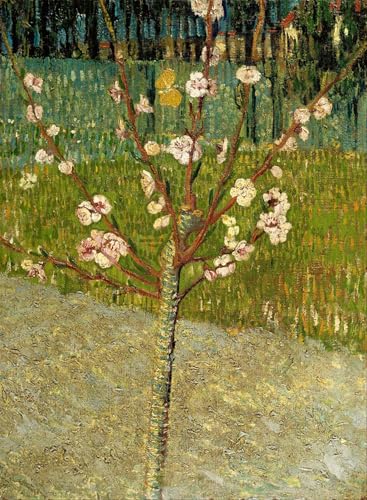 Image amandier en fleurs Vincent Van Gogh pour apaiser votre chambre