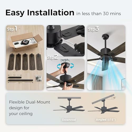 Image of Obabala 52 Inch Ceiling Fan No Light, Modern Black Ceiling Fan Without Light with Remote & APP, Quiet Reversible DC Motor, 6-Speeds, for Living Room, Bedroom, Patio (Black+Brown)