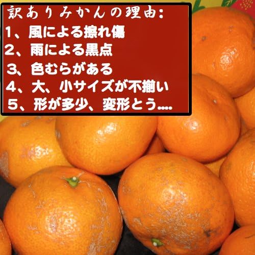 Amazon みかん 産地直送 和歌山 訳あり みかん 10kg 傷あり サイズ不揃い ご自宅用 Yamataベジフル Net みかん 柑橘類 通販 Amazon みかん 産地直送 和歌山 訳あり みかん 10kg 傷あり サイズ不揃い ご自宅用 Yamataベジフル Net みかん 柑橘類 通販